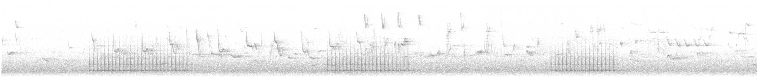 Цоохор тоншуул - ML639868614