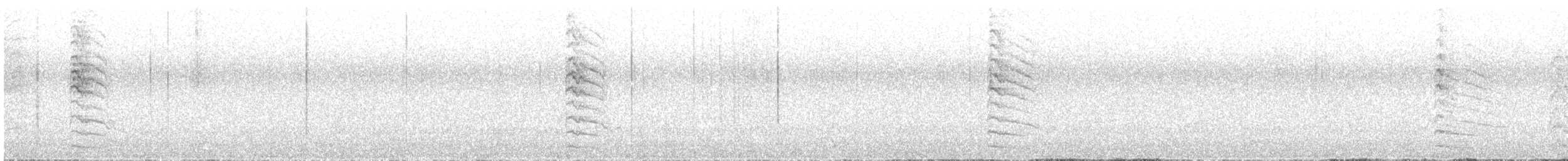 sapsucker sp. - ML639872033