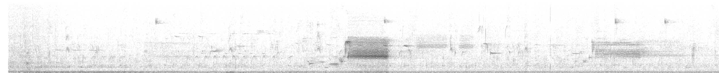 Polluela Sora - ML639872955