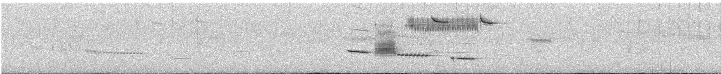 Cassin's Sparrow - ML639875166