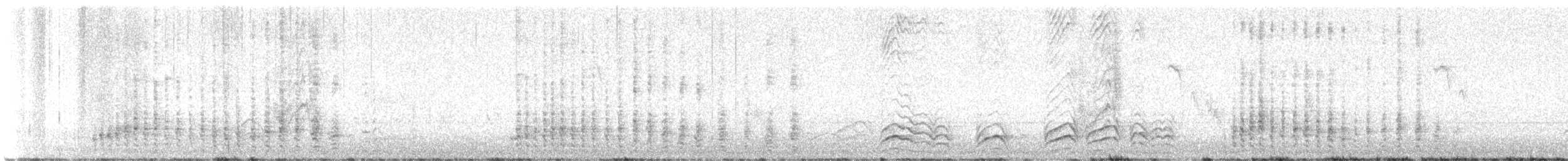 Pinyon Jay - ML639875171