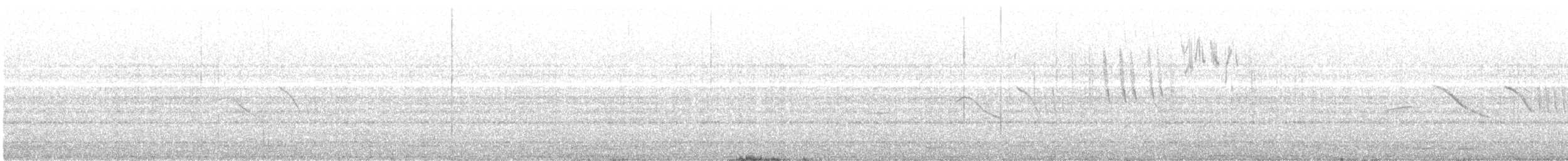 Red-tailed Comet - ML639876345