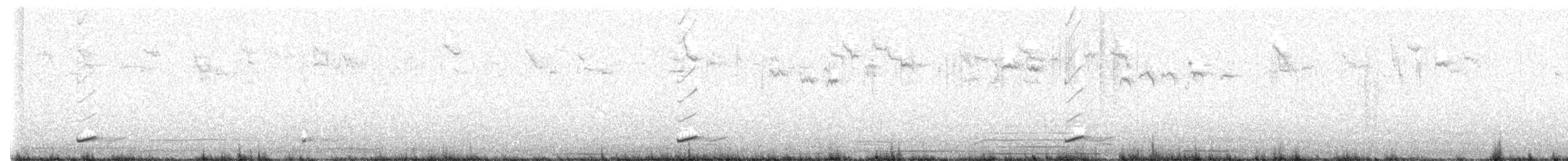 Moustached Turca - ML639877401