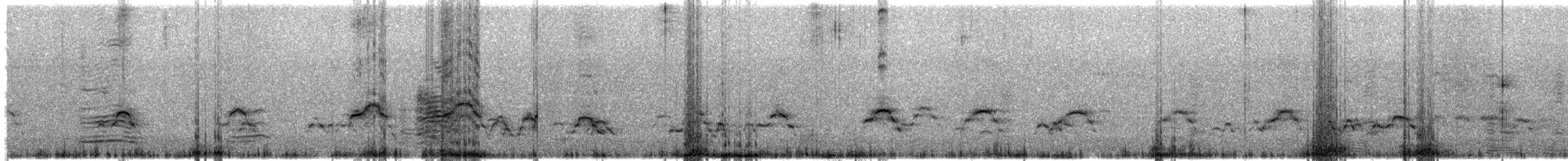 Nazca Booby - ML639880357