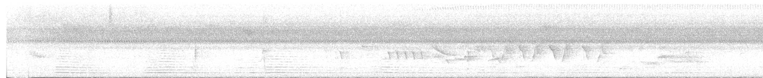 Trumpeter Swan - ML639881266