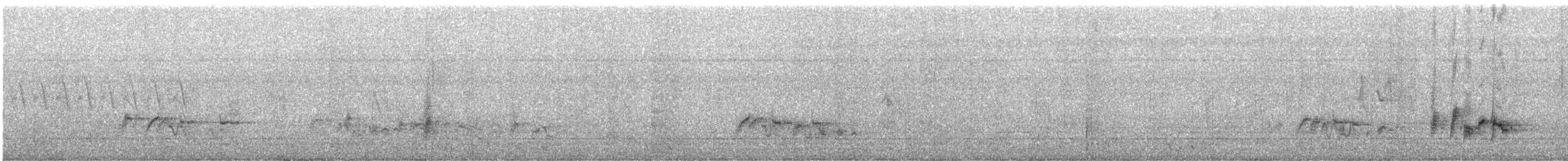 ホオジロヒヨドリ - ML639881739