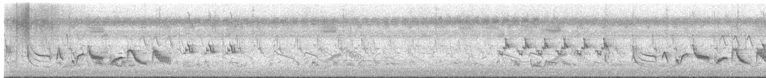 Yellow-eyed Babbler - ML639886566