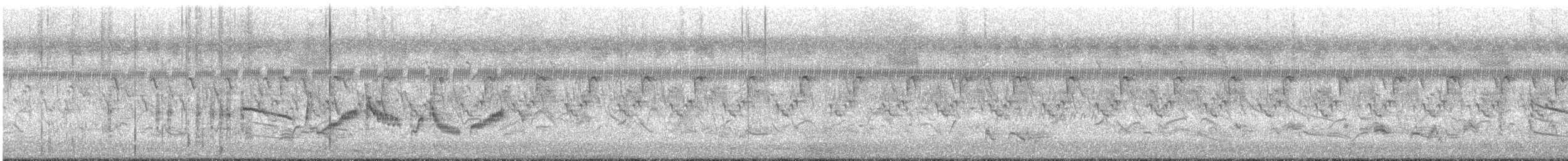 Yellow-eyed Babbler - ML639886567