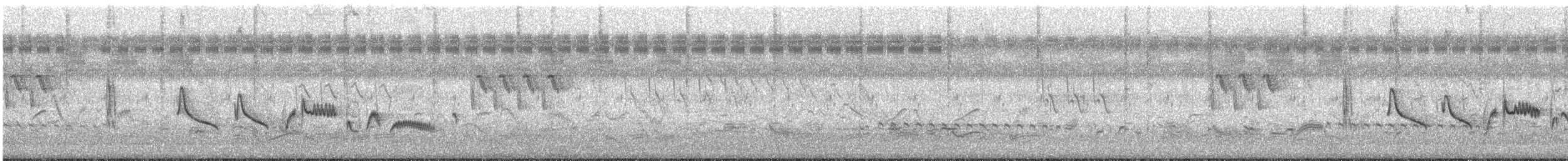 Yellow-eyed Babbler - ML639886568