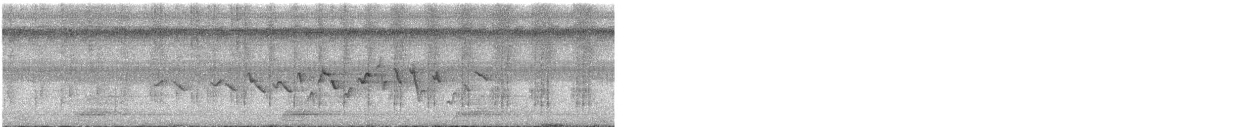 blekktykknebb (indigotica) - ML639889919