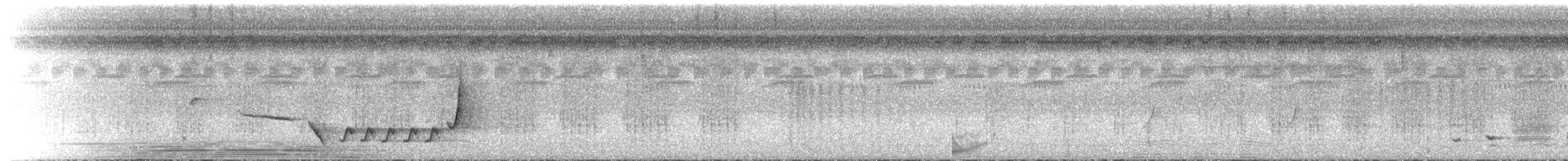 Sinaloa Wren - ML639890071