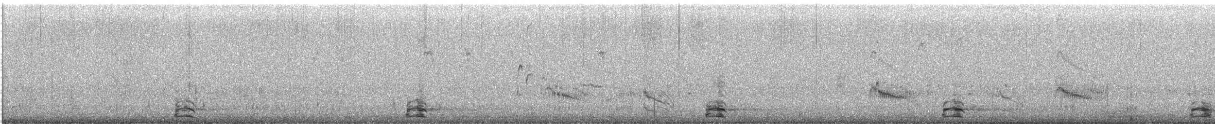 Snow Goose - ML639894151