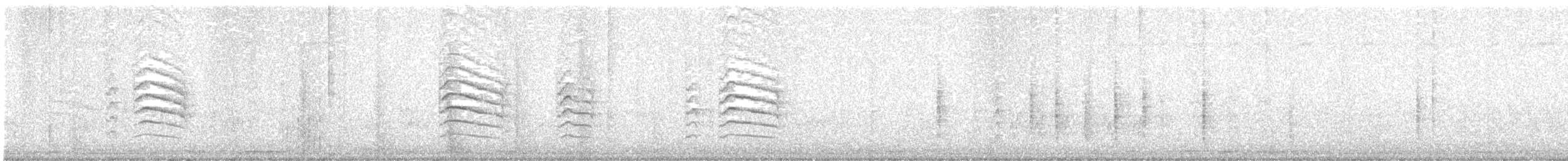 カノコスズメ - ML639896087