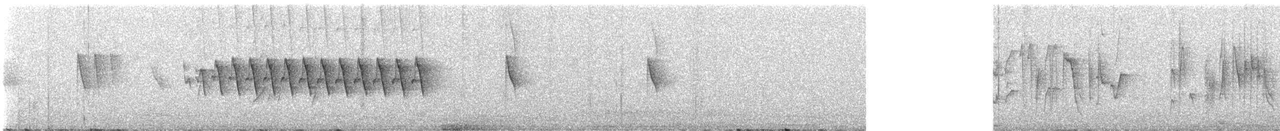 Bar-tailed Treecreeper - ML639896274
