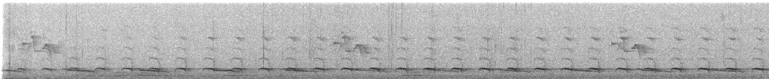 Grammatoptile strié - ML639896303
