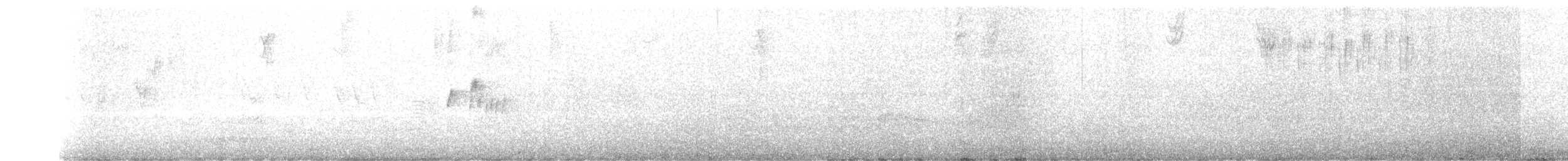 Gray Kingbird - ML639899327