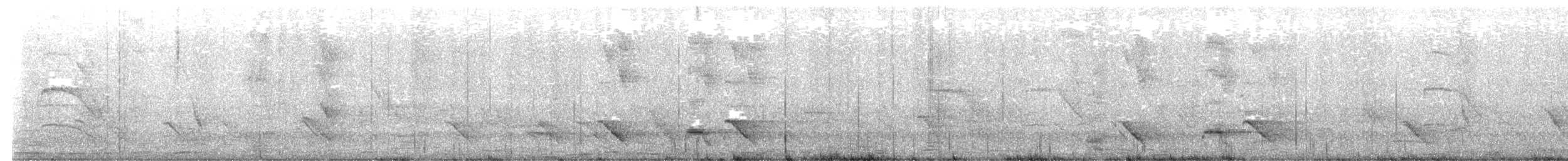 Australasian Figbird - ML639900948