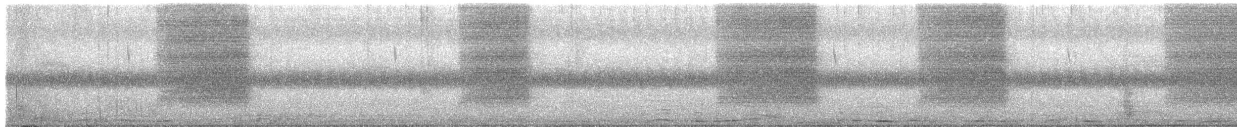 Barbagianni - ML639901843