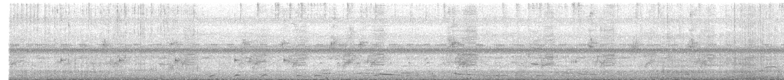 Gray-backed Fiscal - ML639902589