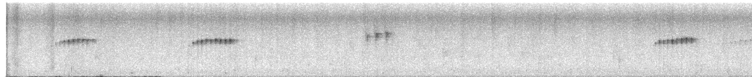 sunbird sp. - ML639902851