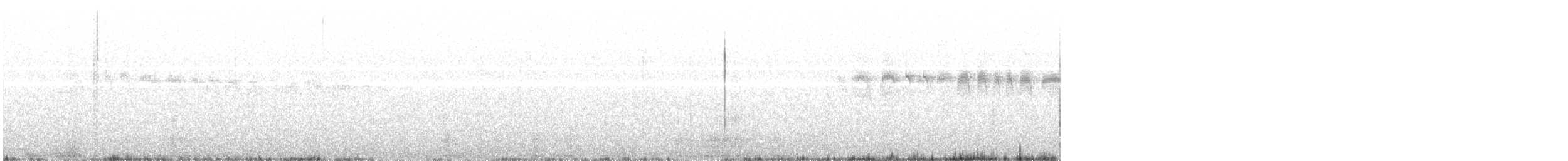 Andean Swift - ML639903725