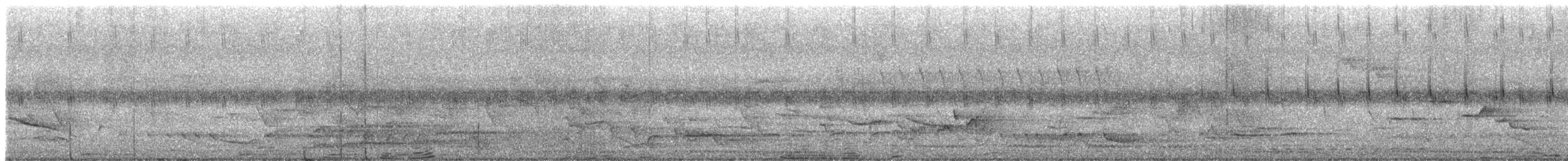 褐翅鴉鵑 - ML639904197