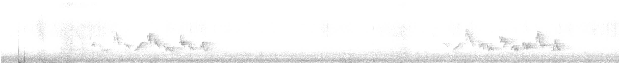 Warbling Vireo (Western) - ML639905875
