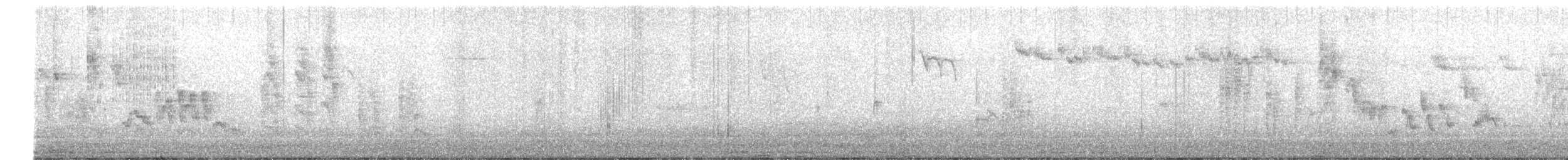 Southern House Wren - ML639908136