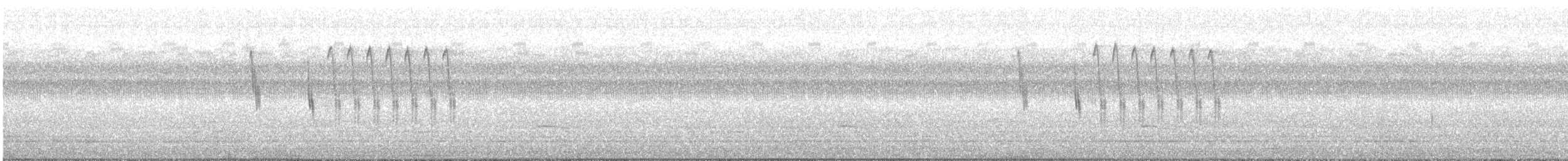 Sedge Wren - ML639909068
