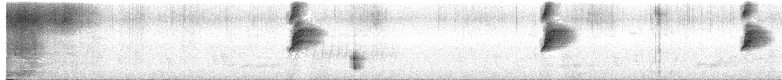 Black-breasted Thrush - ML639910914