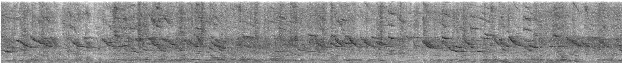 brunskuldertrupial - ML639911811