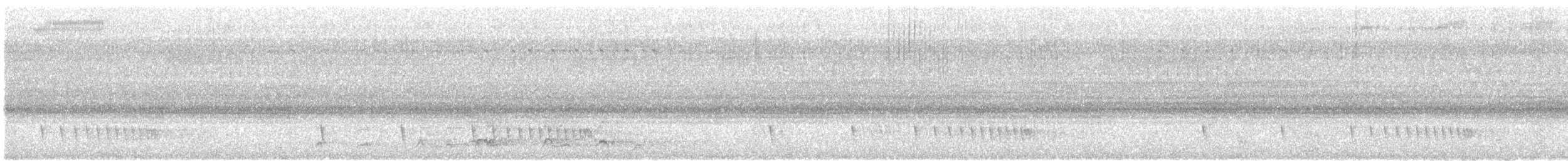 Coq de Sonnerat - ML639911818