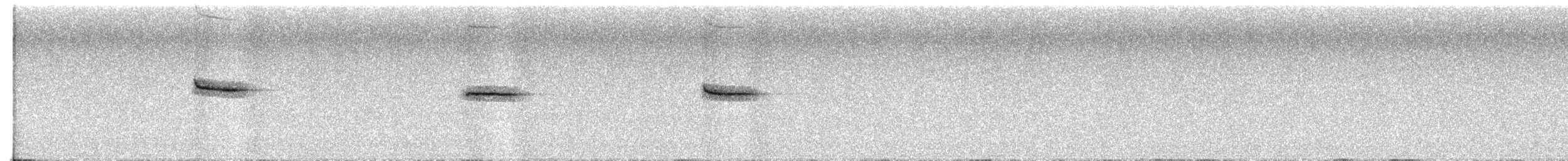 タカサゴミソサザイ - ML639912228