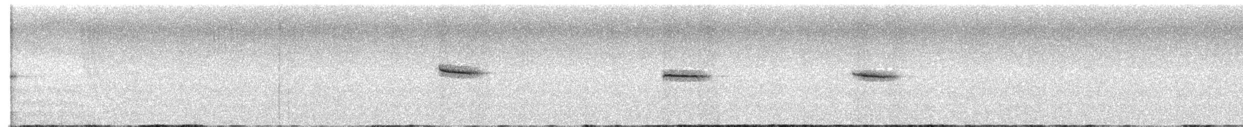 タカサゴミソサザイ - ML639912229