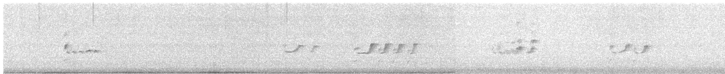 Цагаан сүүлт хөгчүү - ML639912868