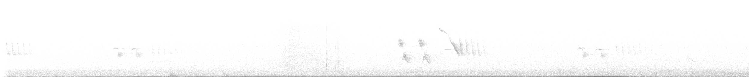 Violet-green Swallow - ML639913122