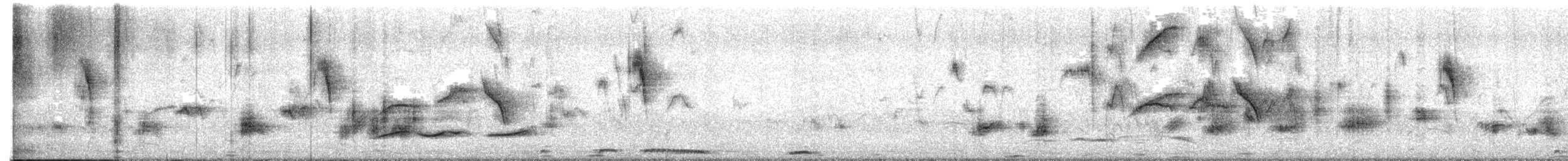 Oriental Magpie-Robin - ML639915549