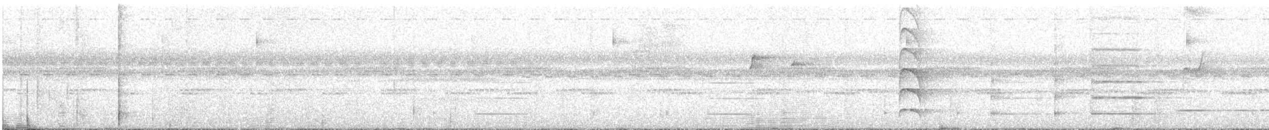 Club-winged Manakin - ML639920699