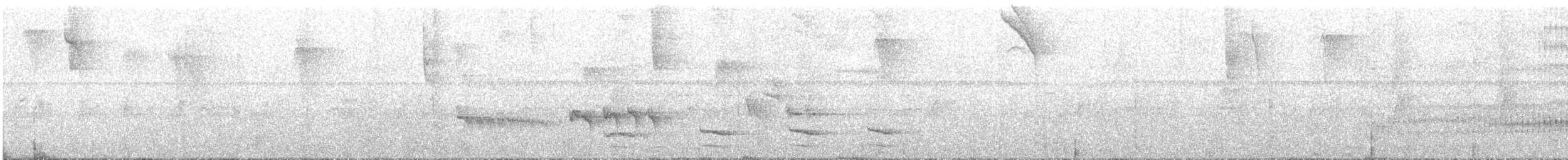 Uniform Antshrike - ML639922880