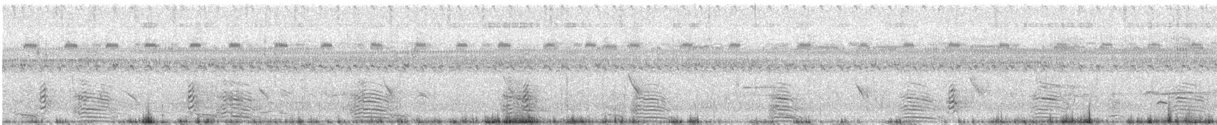 Black Skimmer - ML639925406