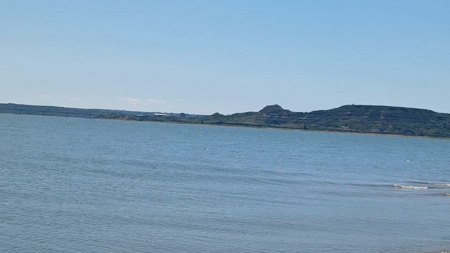 Least Tern - ML639925581