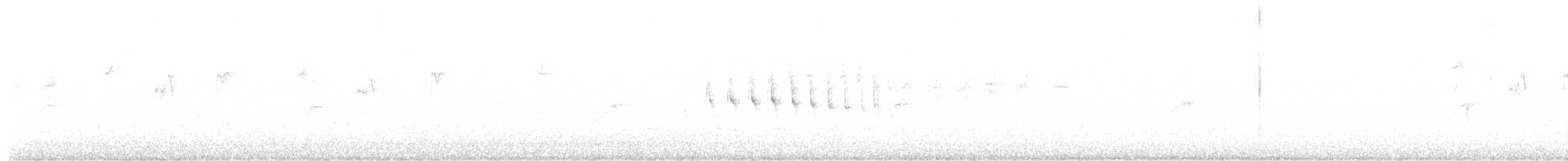 Marcapata Spinetail - ML639927252
