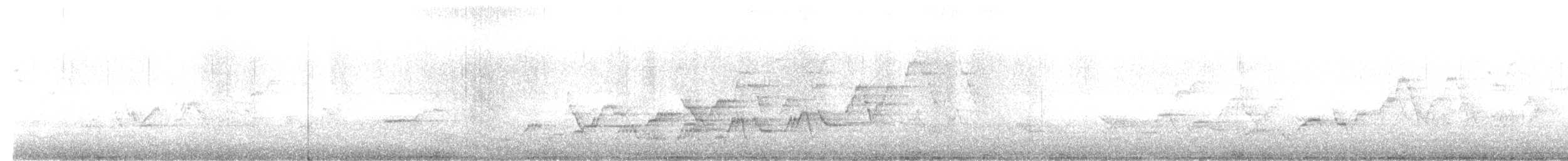 Swainson's Thrush - ML639928193
