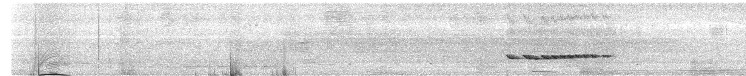 Recurve-billed Bushbird - ML639929676