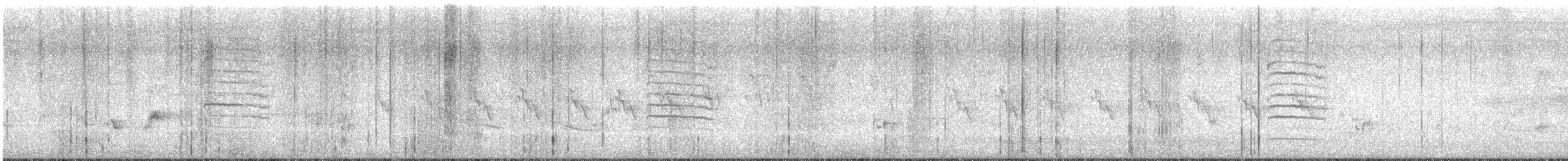 Ashy Prinia - ML639930018