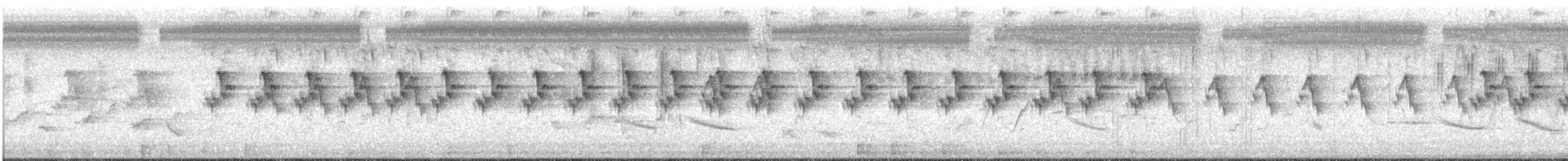 Ashy Prinia - ML639930022