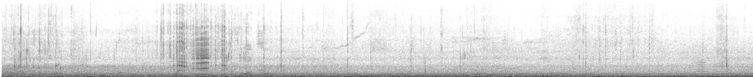 Neotropic Cormorant - ML639931370