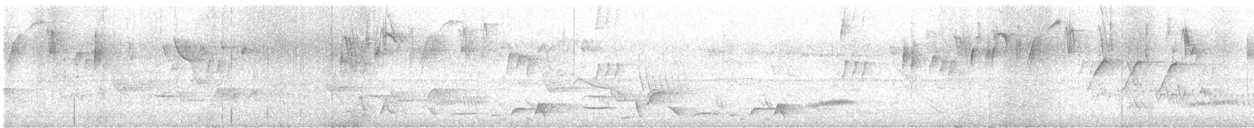 Whiskered Wren - ML639931388