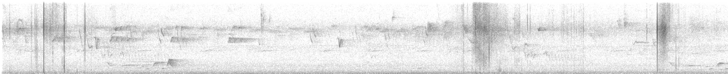 Whiskered Wren - ML639931389