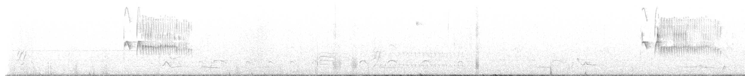 Straneck's Tyrannulet - ML639931497